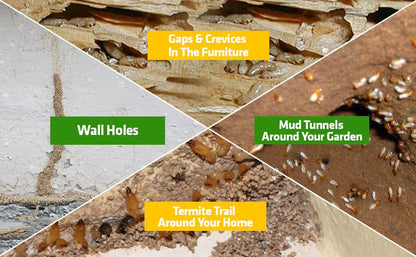 TERMIXX™ 🌿Natural Termite Killer & Repellent Spray 150ML - Super Value Pack of 3🔥